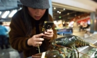 ѶƷô ѶƷ