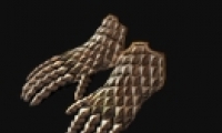 ֮·ӰЧһ