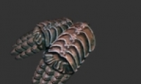 ֮·ͭӰЧһ