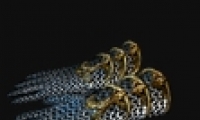 ֮·װһ