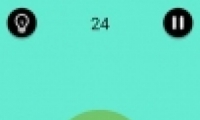 ɧ24ͨع