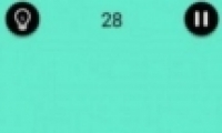 ɧ28ͨع