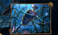 ױѧԺ22ͨع