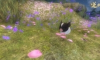 ˮ̻ȡ