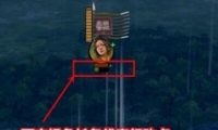 ȫսƶļ