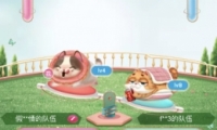 èappèèս˳鷽̳