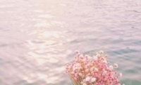 2019˵΢ͷԢ ԢõļԷ羰ͷȫ