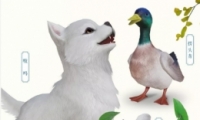 3ָ⽭Сȡ