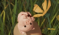 ͷҼСջȡ
