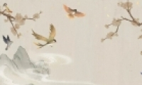 ůů绻װǧɽȡ
