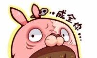 ͨͷɳ 2019Q濨ͨͷһ