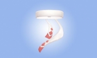µȷʿԽ