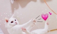 Ϧ¸ЦͷһһŮ 2019ȳͷѡ