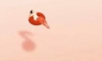 appƴ屣ͼƬ̳