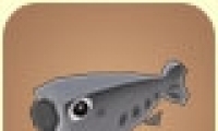 ɫ÷
