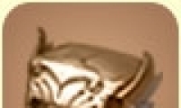 ͷ÷