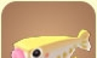 ɫ