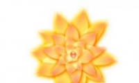 Flash趯