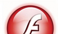 ҳʾFLASH淶˵