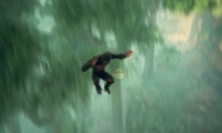 棺µʯƼ