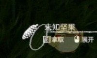 ɫʳЧһ
