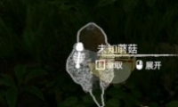 ɫĢʳЧһ