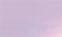 insԼֻֽͼƬ Աֽȫ