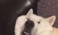 Цɳͷ жͷħ