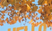 2019ʮһ־ͼƬ 11¸ԱͼƬȫ