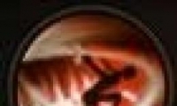 뾫顷սܽ
