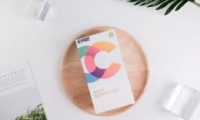 Сcc9pro֧չ濨 Сcc9proԲڴ濨