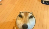 ɰɳͷһ ͷһһŮ