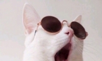 èͷһԿɰ ȳͷȫ