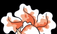 Σ/ܡǽͼ
