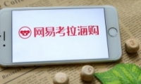 Ӧ¼ô Ӧ¼˵ʲô