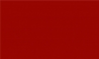 ʥֻֽɫͼƬ 2019ʥڱֽԼɰ
