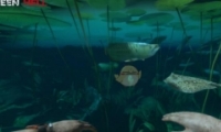 ɫGreen HellϷڴ浵