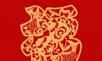 2020֧app帣淨
