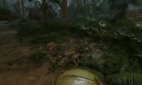ɫGreen HellBUFFӳЧһ