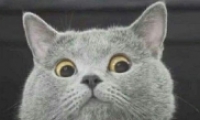 Ǳʲô Ǳʲô˼