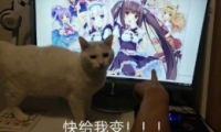 ұ䡱ʲô ұ䡱ʲô˼
