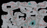 䵶׷λù