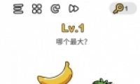 Զʦ1ͼĹ