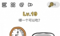 Զʦ19ͼĹ
