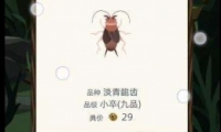 Ŵ׬Ǯɹ