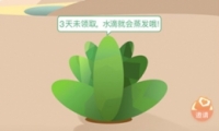 ΢app޿ٻˮη̳