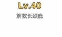 Զʦ40ͼĹ