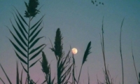 ѹĸǩ еѹĸǩȫ