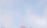 ӣֻֽͼƬΨ ʺϴӣֽ