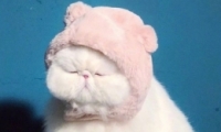 ǩŮ̿ɰ ǩŮľ